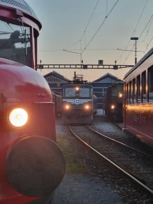 Alder & Bahn - an exhibition on model making and railroads — photo 1
