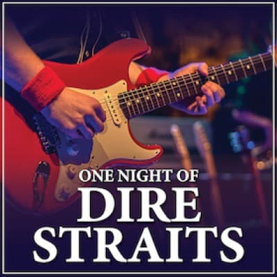 One Night of Dire Straits - Tribute Show - Tour 2027 — photo 1