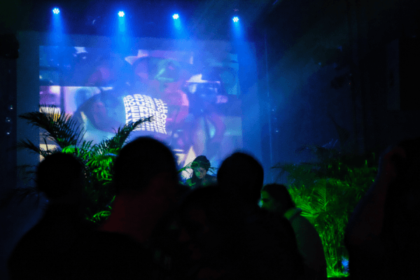 House of Perreo - 2 — photo 1