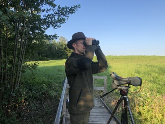 Pure Nature Experience: Hiking with the Ranger around Nussbaumersee — photo 1