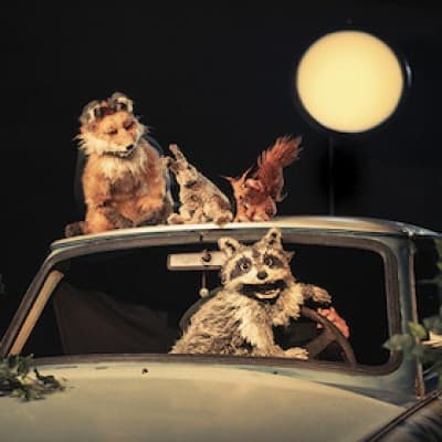 Theater Kuckucksheim - Tanz der Tiere — photo 1