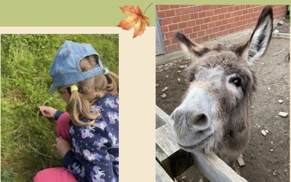 Autumn Children's Holiday Week, Thursday, 8.10.26 — photo 1