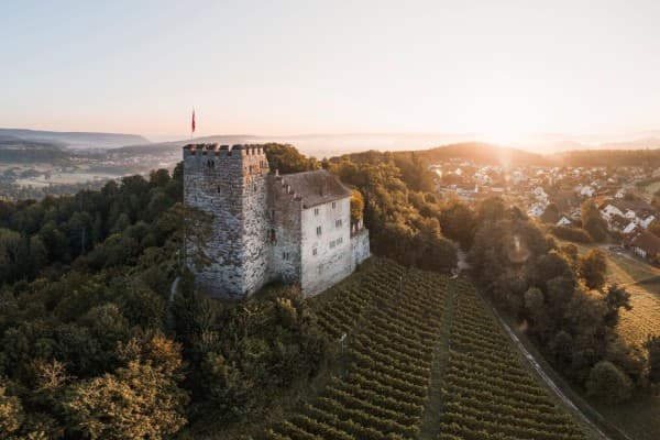 Swiss Castles Day — photo 1