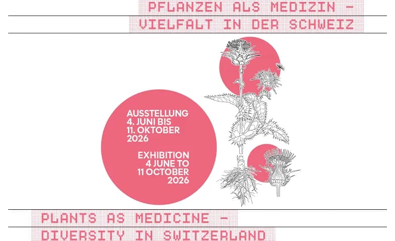 Führung: Pflanzen als Medizin - Vielfalt in der Schweiz — photo 1