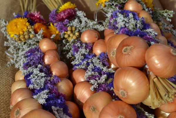 Onion Market — photo 1