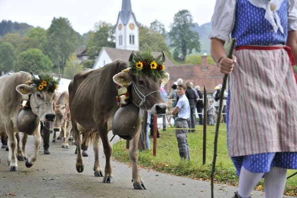 Cattle Show Nesslau — photo 1