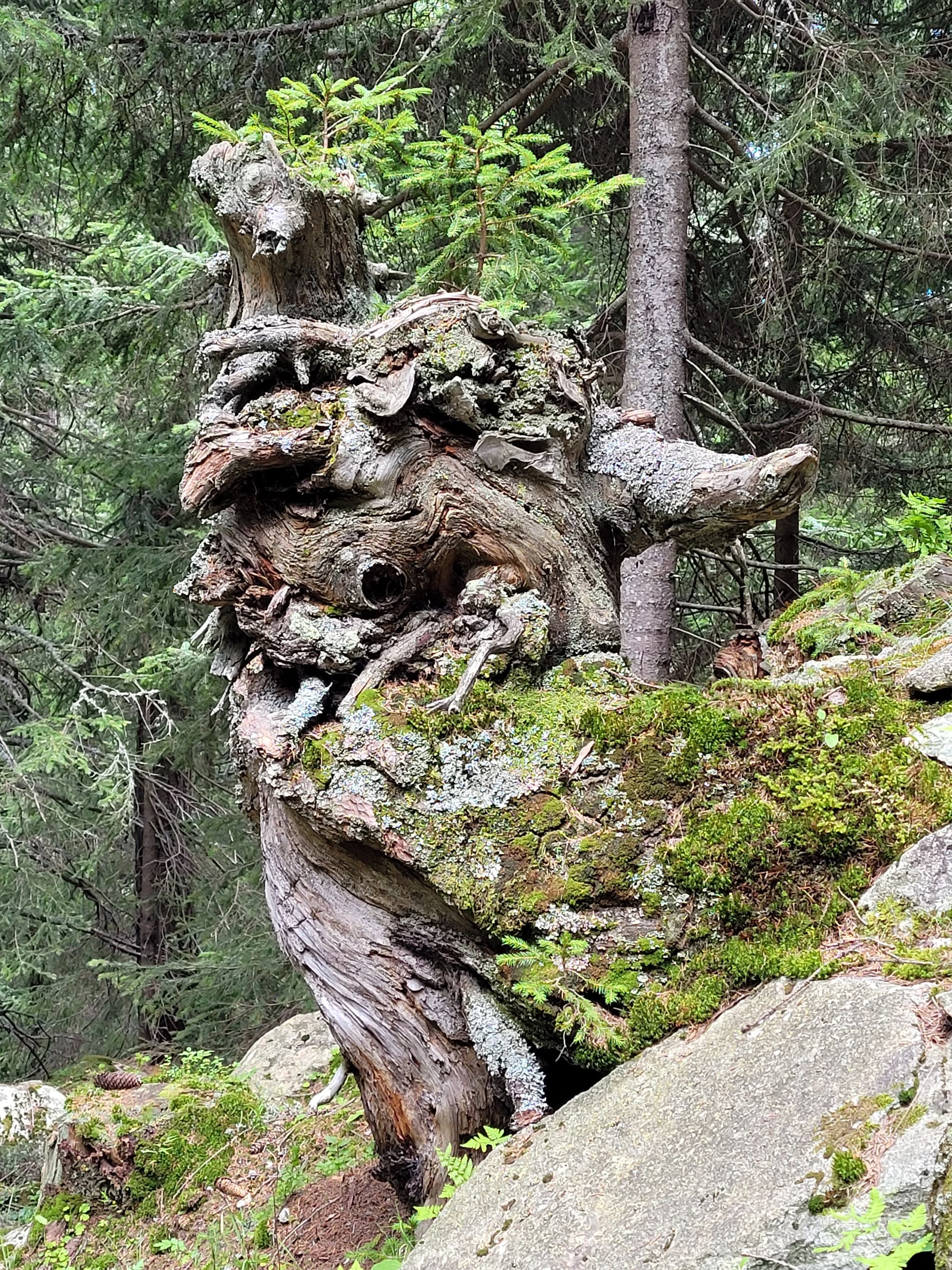 Meditation & Breathwork — photo 1