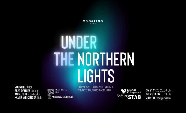 Under the Northern Lights — photo 1