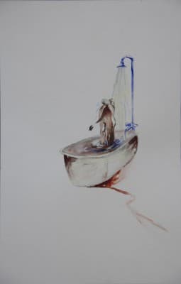 NASRIN AMIRI RAMSHEH — photo 1