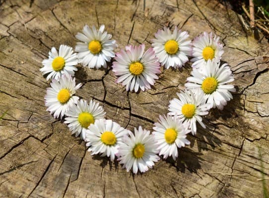 Getting Out of Bullying - Embracing Life - Course for All Interested — photo 1