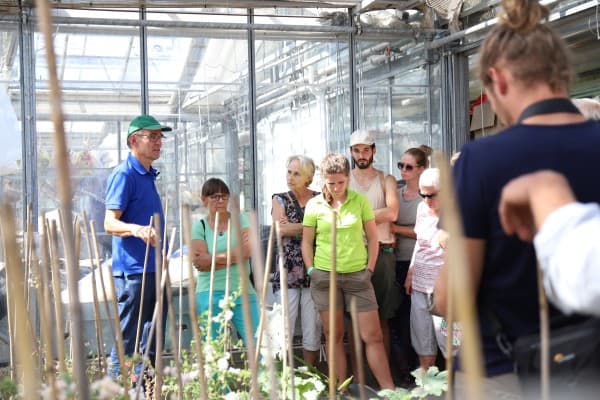 From Seedling to New Variety - Tour at Sativa in Rheinau — photo 1