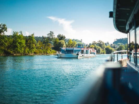 Washed with all waters: Chicken wings on the Aare — photo 1
