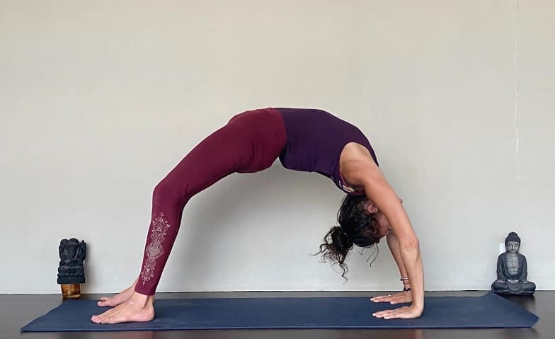 Vertiefung der Yogapraxis - Hatha Yoga Workshops — photo 1