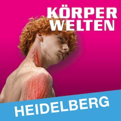 KÖRPERWELTEN | Heidelberg | Day Ticket — photo 1