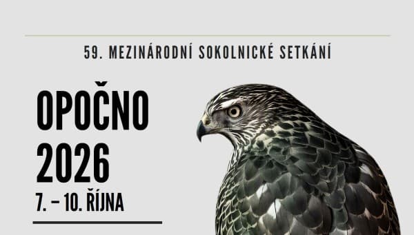 59th National Falconry Meeting with International Participation — photo 1