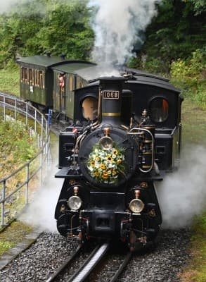 Dampffahrt Interlaken-Meiringen-Brünig-Giswil und Zurück — photo 1