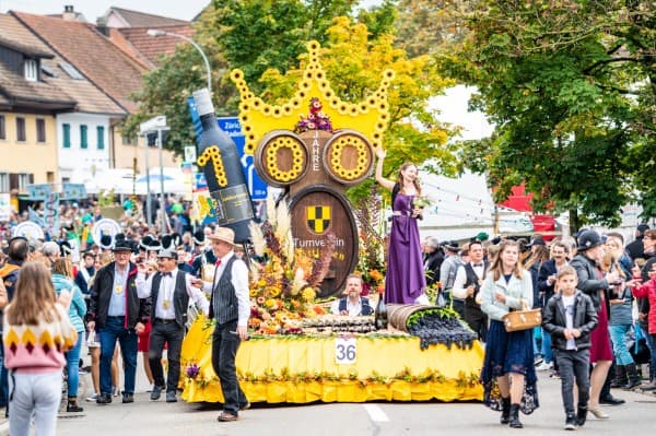73rd Döttingen Winegrowers' Festival — photo 1