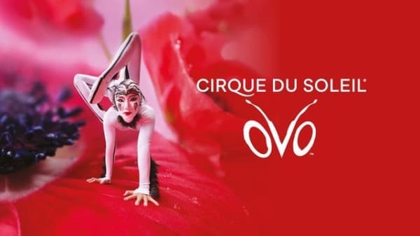 Cirque du Soleil - OVO — photo 1