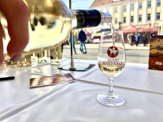Svatomartinské slavnosti — photo 1