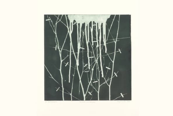 Hugo Suter. Fliessen und Spriessen. The Printmaking Work — photo 1
