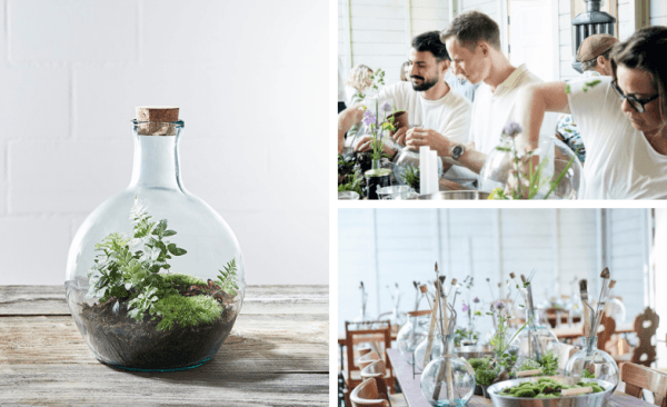 Flaschengarten-Workshop — photo 1