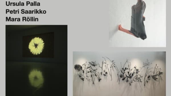 Ursula Palla, Petri Saarikko, Mara Röllin — photo 1