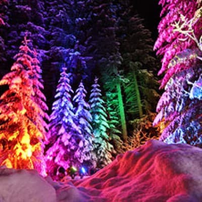 Zauberwald - Christmas — photo 1