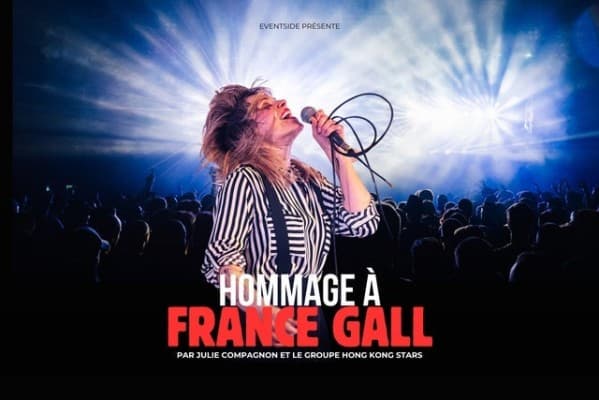 Hommage à France Gall — photo 1