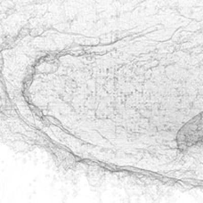 Le Vol des Abeilles - Mahler Multimedia — photo 1