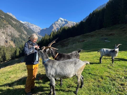 On the Way with Goats in the Maderanertal — photo 1