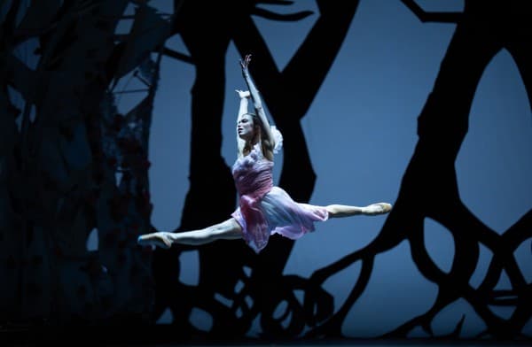 Sleeping Beauty — photo 1