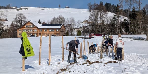 Nature Connects – Planting in Waldstatt — photo 1
