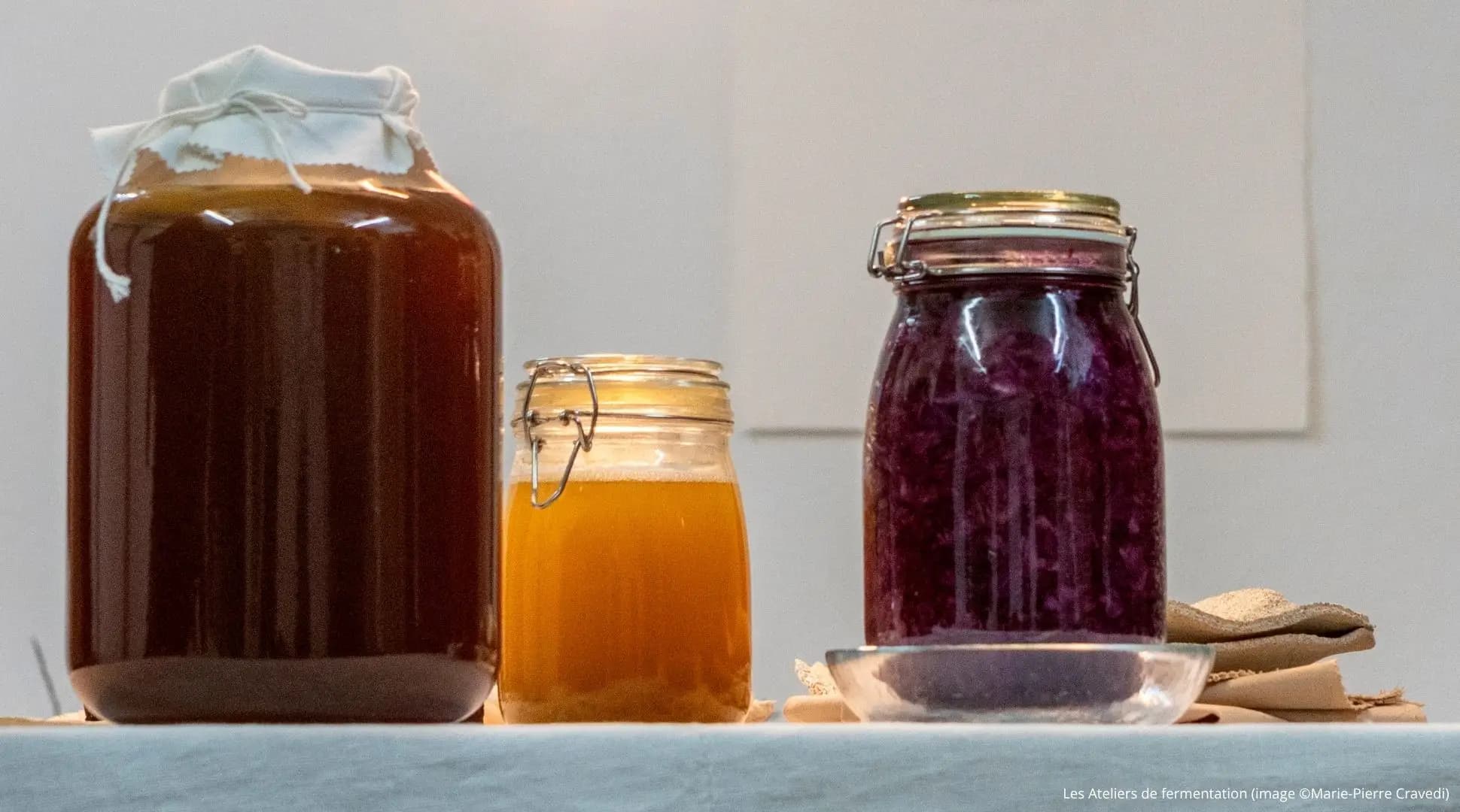 Introduction to lactofermentation: sauerkraut and kimchi — photo 1