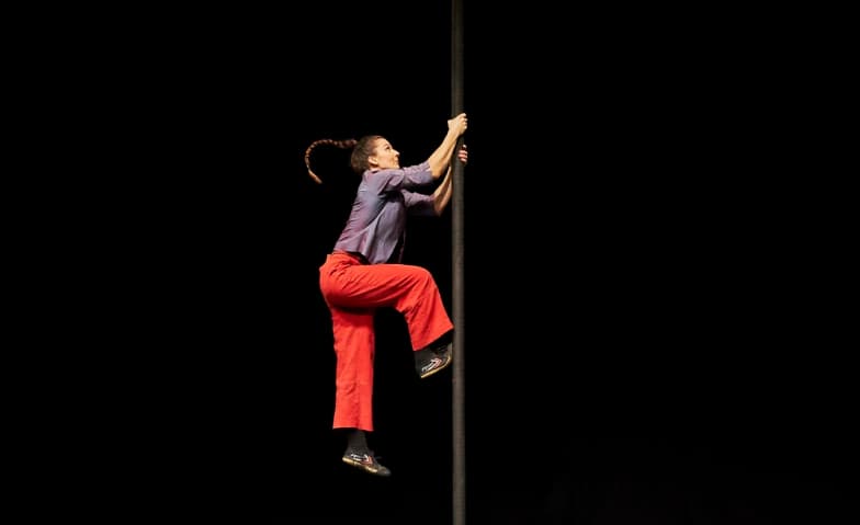 Chinese Pole Beginner Workshop — photo 1