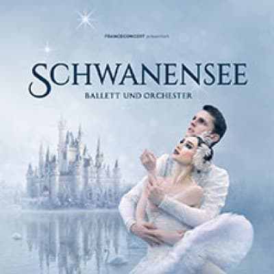 Swan Lake - Ballet with Orchestra — photo 1