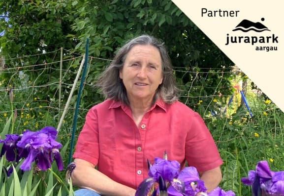 Herbs & Home Remedies - from Garden + Nature / Summer Course 27 — photo 1