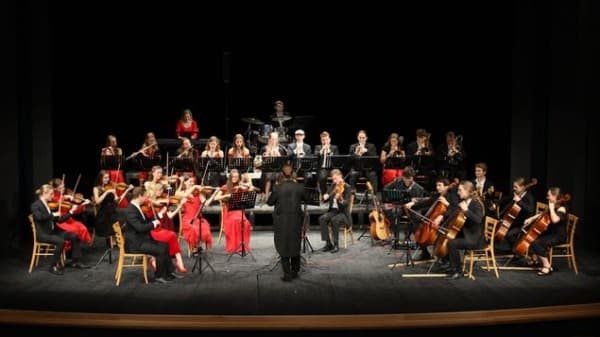 Film Music Concert – Dalibor Havlíček Symphony Orchestra — photo 1