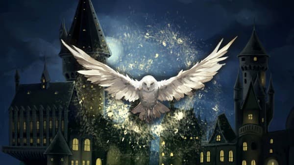 Lords of the Sound - Hogwarts Magic Symphony — photo 1