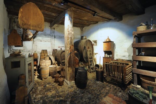 What Cheese! – Guided Tour with Workshop for Adults — photo 1