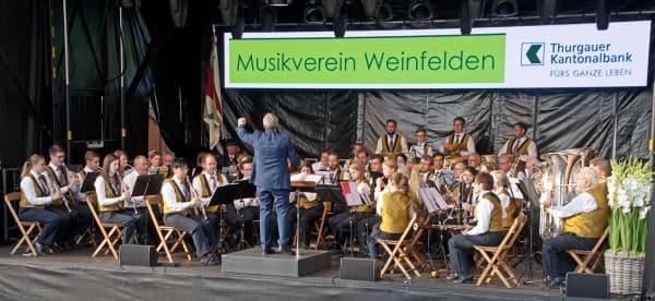 WEGA Concert Musikverein Weinfelden — photo 1