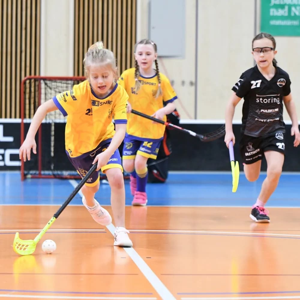 Floorball tournament – Juniors’ league — photo 1