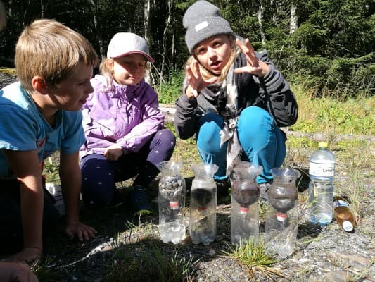 Nature Park Children's Afternoon — photo 1