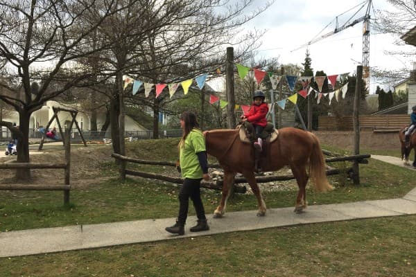 Pony riding — photo 1