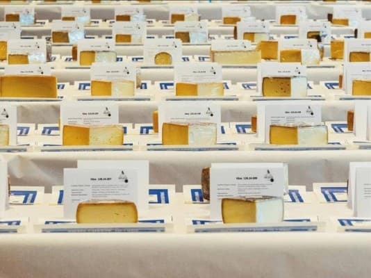 Swiss Cheese Awards with a Cheese and Specialty Market — photo 1