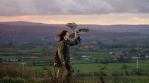 H is for Hawk — photo 1