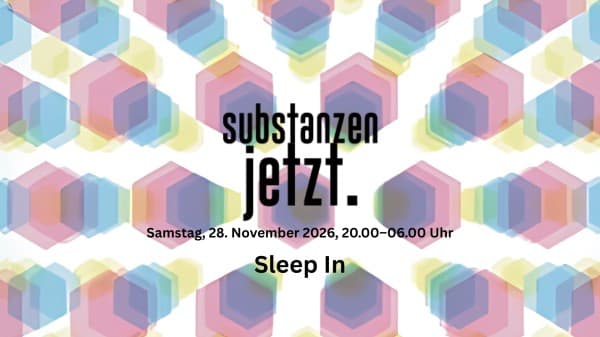 Sleep In — photo 1