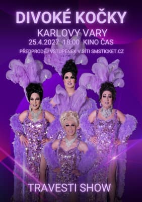 Travesti show Divoké kočky Karlovy Vary — photo 1