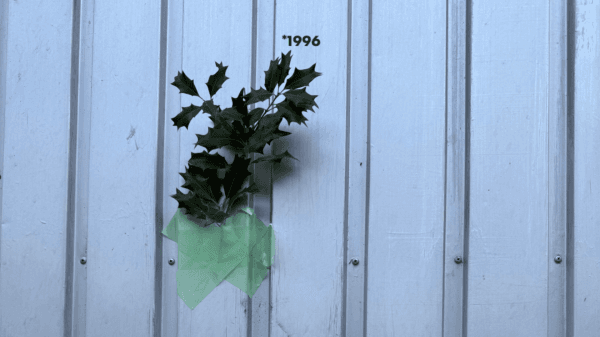 30 Years of domizil — photo 1