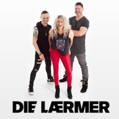 Die Lärmer - We Are Alive! - Tour 2027 — photo 1
