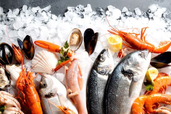 Fish Specialties & Seafood — photo 1